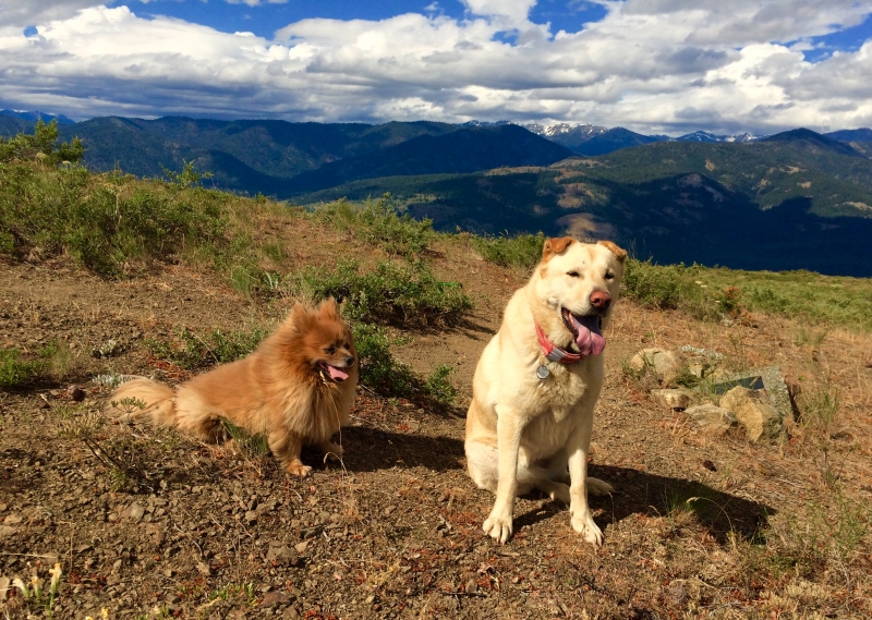Patterson Mountain Hike