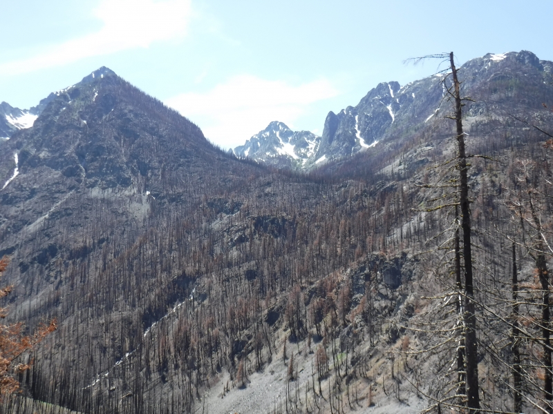 2017 Pasayten Wilderness Burn