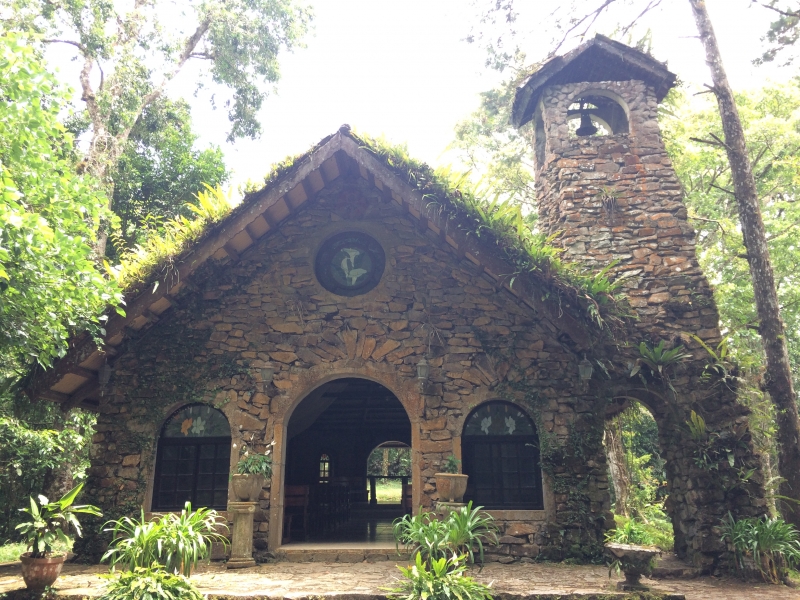 Hiking at Selva Negra