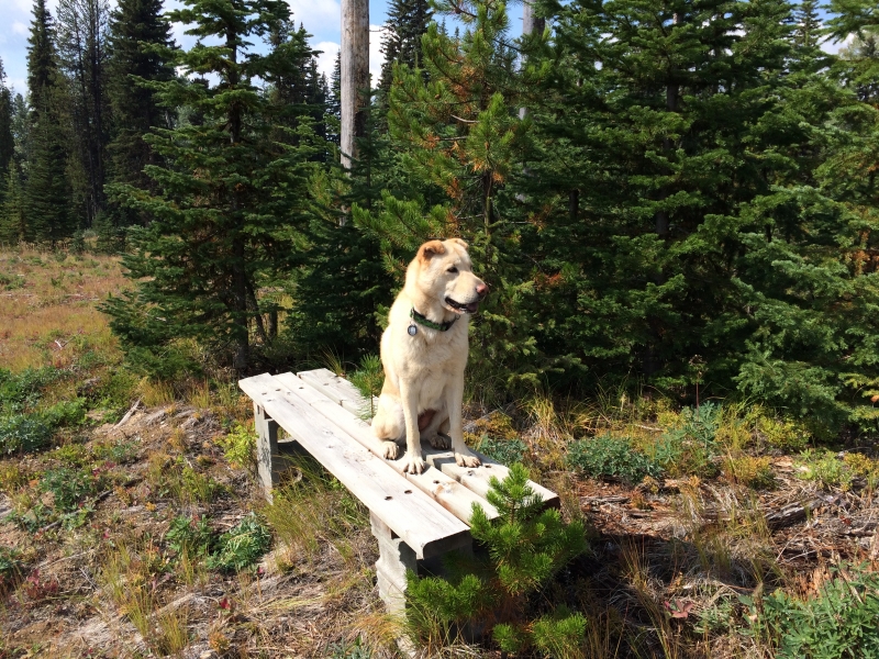 Hike at Nordic