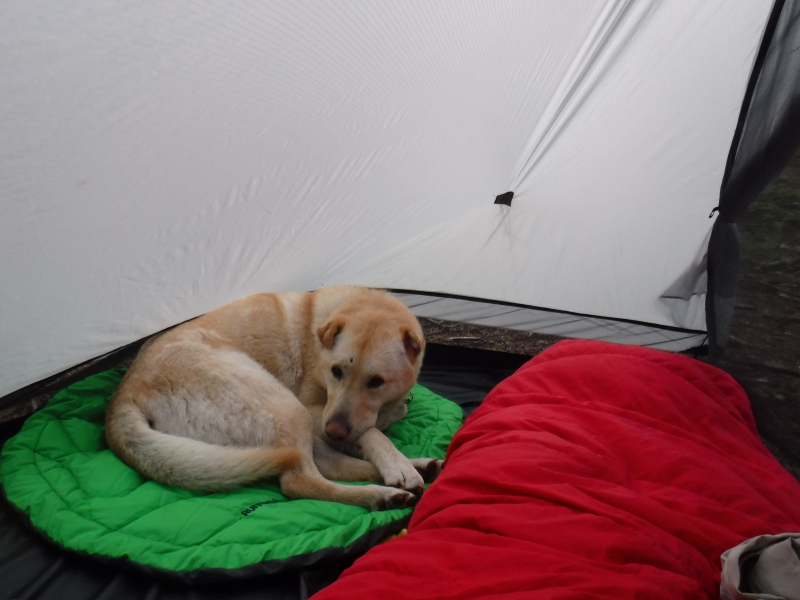 Snug in the tent