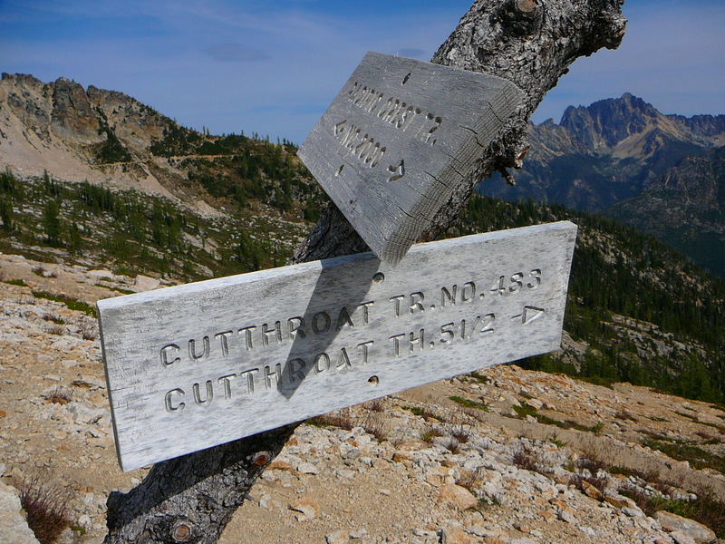 Top of Cutthroat Pass