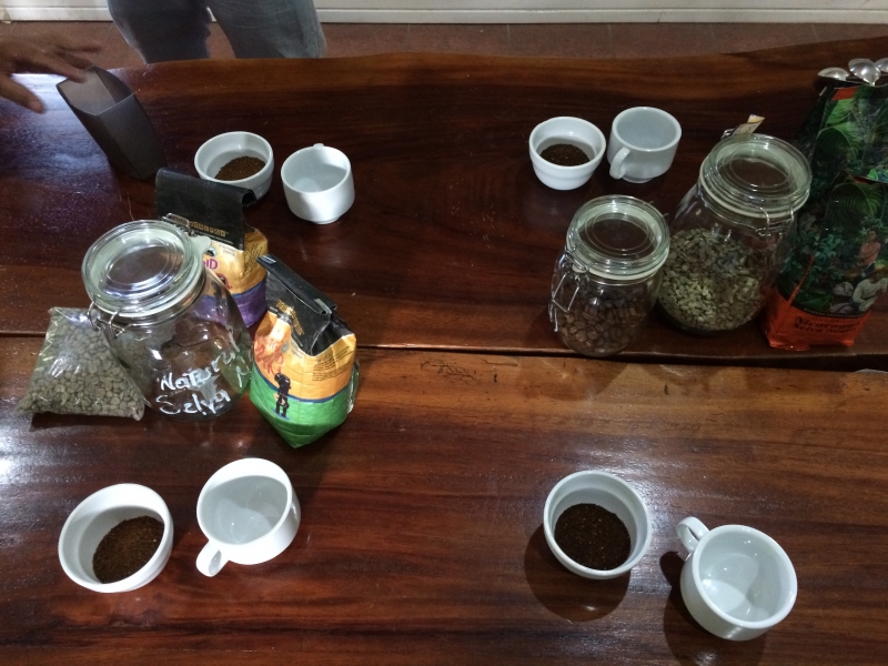 Coffee tour and tasting at Selva Negra