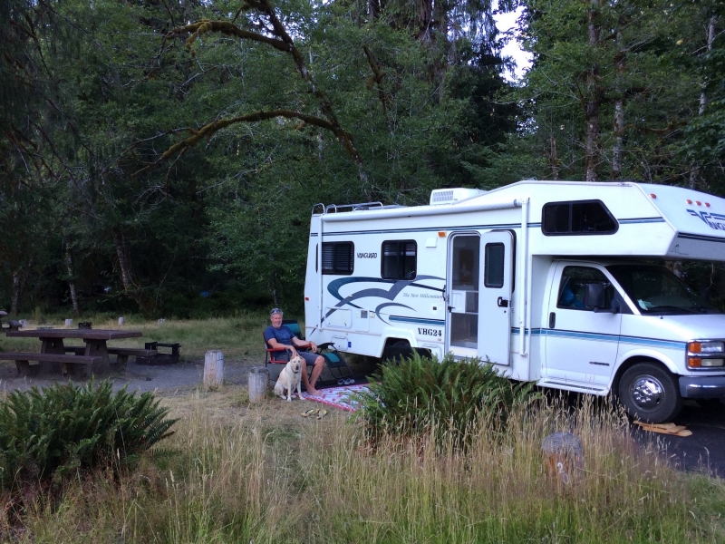 Hoh Campground Olympic National Park