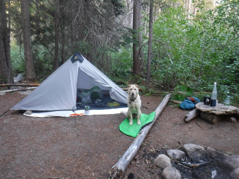 Horse Camp camping setup