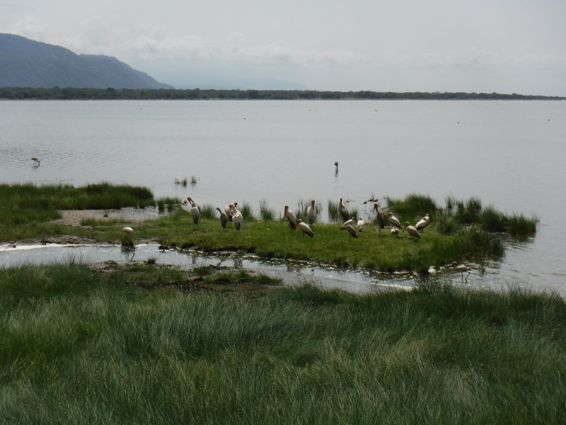 Lake Manyara