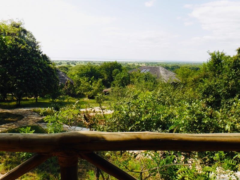 View of Tarangire from Sangaiwe Lodge