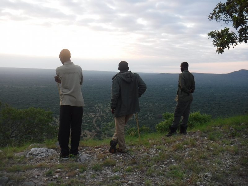 Early morning hike, looking over Tarangire