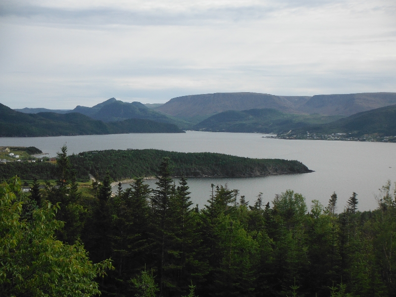 View from Woody Cove Lighthouse - NL