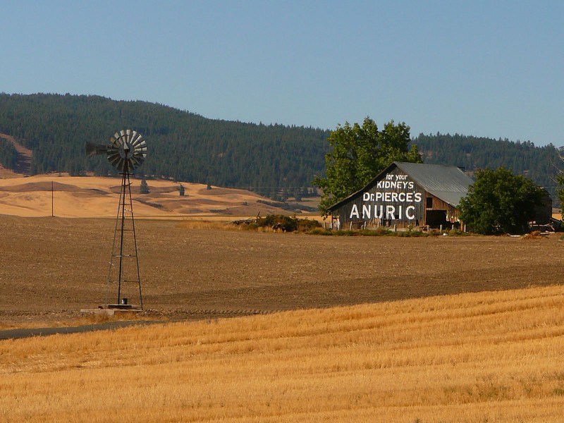 Washington State 2007-2009