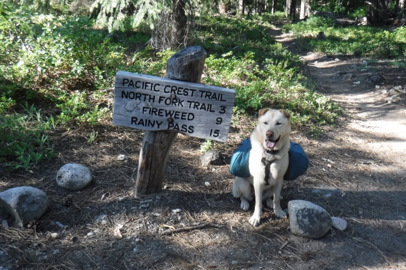 Finally arrived at Bridge Creek on the PCT