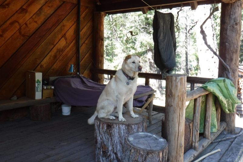 Keyla loves cabin life