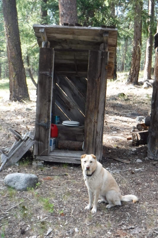 The OLD outhouse
