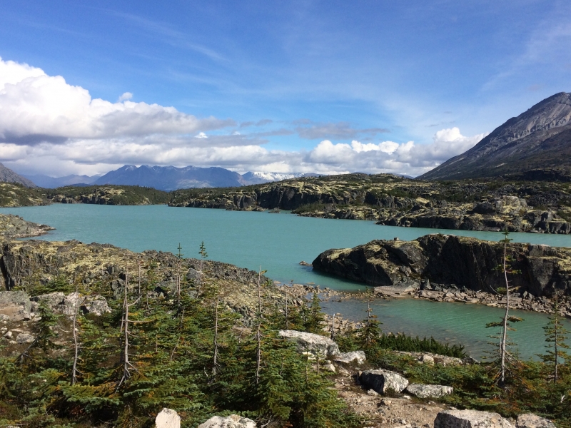 Between Carcross and Skagway Sept 7